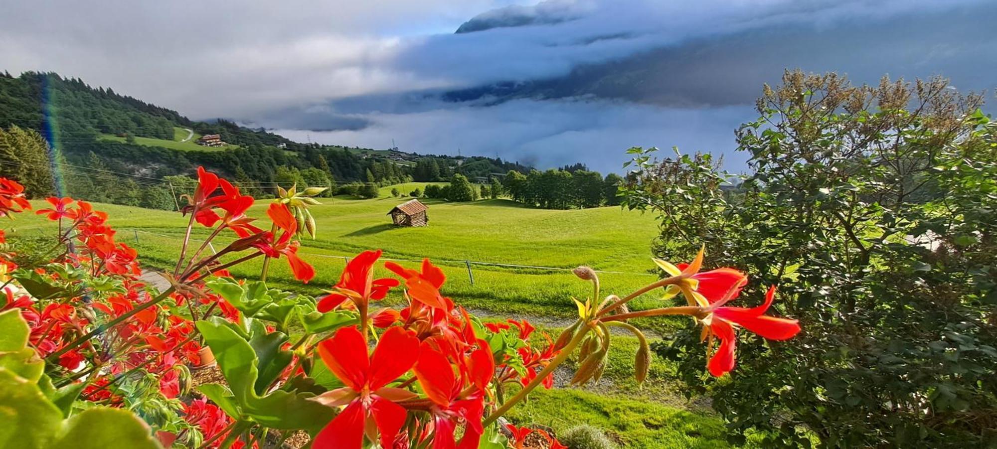 Ferienwohnung Hartlgut Bad Hofgastein Exteriér fotografie